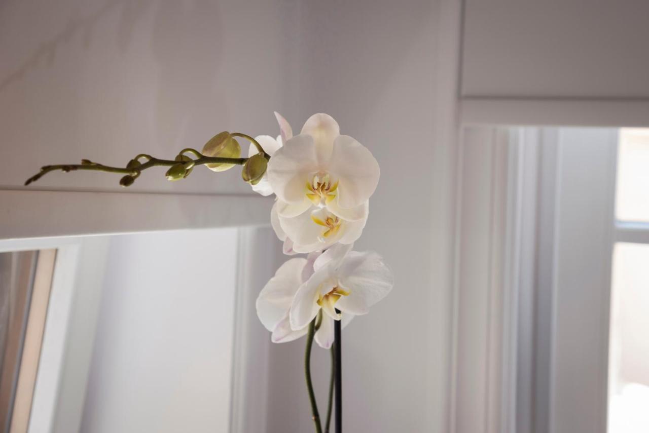 하니아 Casa Regina Luxury House 빌라 외부 사진